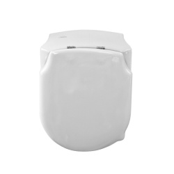 Urinal mit Deckel, Zulauf von hinten & Hygiene Glasur, weiß
