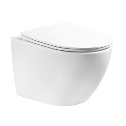 AquaNovo Wand WC spülrandlos mit SoftClose TakeOff WC-Sitz, weiß