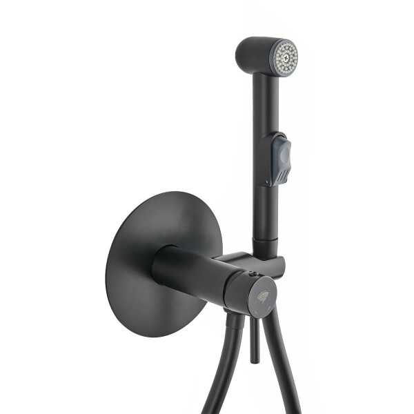 Swiss Aqua Technologies Spraybrause Bidetbrause-Set mit Mischfunktion, schwarz matt
