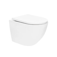 SAT Wand-WC spülrandlos mit verdeckter Befestigung und SoftClose WC-Sitz, weiß