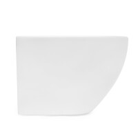 SAT Wand-WC spülrandlos mit verdeckter Befestigung und SoftClose WC-Sitz, weiß