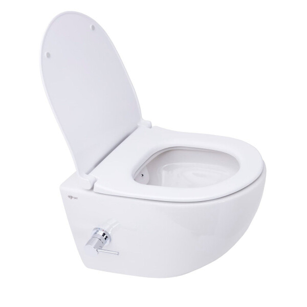SAT Aquacare Wand-Dusch-WC spülrandlos mit SoftClose WC-Sitz, Schallschutz & GEBERIT BASIC Vorwandelement + DELTA25 Betätigungsplatte, verschiedene Farben