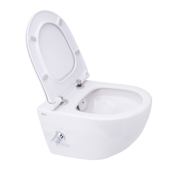 SAT Aquacare Wand-Dusch-WC spülrandlos mit SoftClose WC-Sitz, Schallschutz & GEBERIT BASIC Vorwandelement + DELTA25 Betätigungsplatte, verschiedene Farben