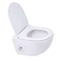 SAT Aquacare Wand-Dusch-WC spülrandlos mit SoftClose WC-Sitz, Schallschutz & GEBERIT BASIC Vorwandelement + DELTA25 Betätigungsplatte, verschiedene Farben