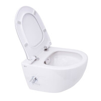 SAT Aquacare Wand-Dusch-WC spülrandlos mit SoftClose WC-Sitz, Schallschutz & GEBERIT BASIC Vorwandelement + DELTA25 Betätigungsplatte, verschiedene Farben