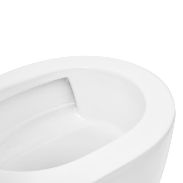 SAT Fusion spülrandlos Stand-Kombi-WC mit Wirbelspülung und SoftClose-Sitz, variabler Anschluss, weiß