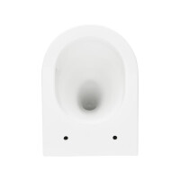 SAT Fusion Wand-WC spülrandlos Tornado Flush Whirlflush wassersparend leise mit Softclose WC-Sitz, weiß