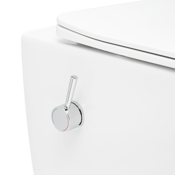 SAT Fusion Wand-WC mit Bidet und Wirbelspülung WC-Sitz mit Absenkautomatik inklusive Montageset, weiß
