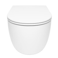 SAT Ergo XL-Toilette wandhängend 40x57 cm mit Wirbelsp&