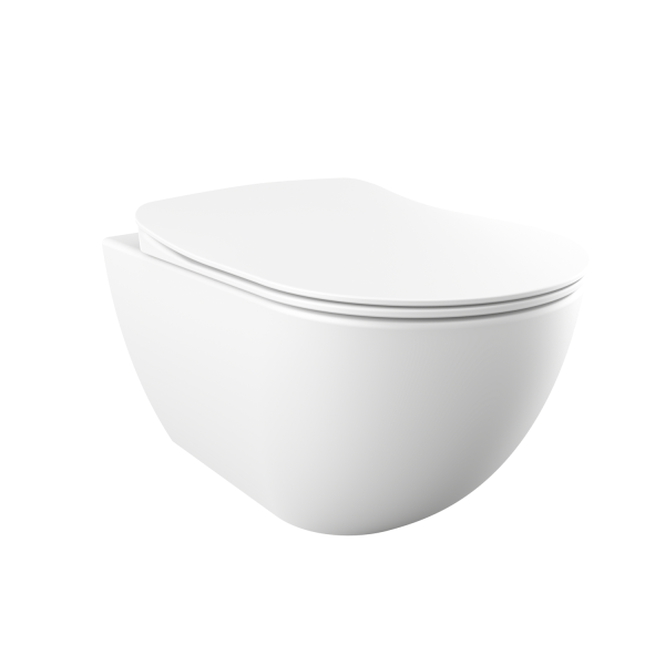 FREE Wand WC spülrandlos mit SoftClose WC-Sitz & GEBERIT BASIC Vorwandelement + DELTA25 Betätigungsplatte, verschiedene Farben