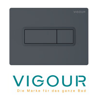 VIGOUR TEES WC-Betätigungsplatte für 2-Mengenspülung, anthrazit matt